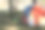 在松林下露营和帐篷图片下载
