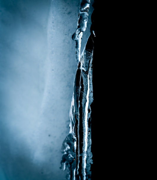 冬天的宏图片下载