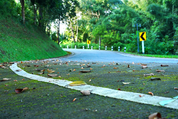 山上的s弯道空无一人图片下载