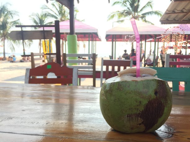 沙滩上的椰子图片下载