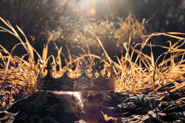 神秘而神奇的银王皇冠照片在英国的森林或田野景观与闪光。中世纪的概念。图片下载