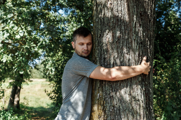 人类的双手拥抱，包裹一棵树。接触人与自然，生态的概念。生产力。共生图片下载