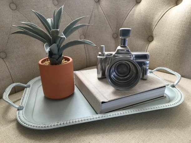 相机物体与芦荟植物薄荷色托盘图片下载
