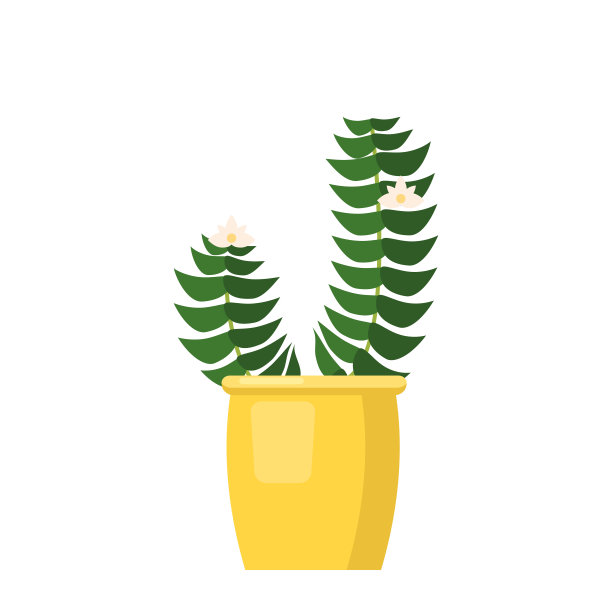 粉红色的含羞草开花。绿色的叶子，粉红色的花朵，花瓶中的开花植物。矢量插图孤立在白色背景图片下载