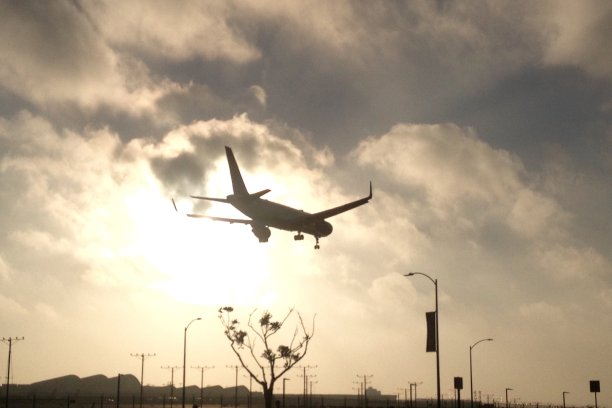 一架飞机在日落时降落在洛杉矶-低角度视图图片下载