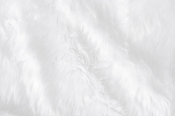 坯布棉布纹理与空白软材料空间为文字和创意设计。干净的白色褶皱编织概念插入细节图像，覆盖复古平原用于新的装饰背景图片下载