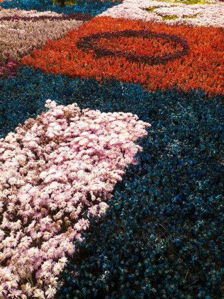 背景和纹理的花附在织物上，使一个典型的silleta图片下载