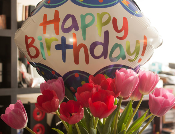 庆祝生日的郁金香图片下载