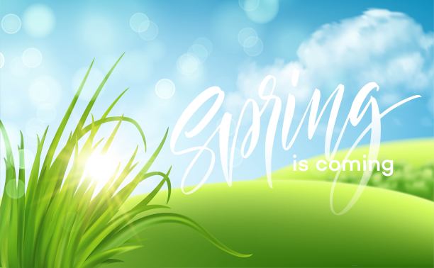 清新的春天绿草景观背景与手写字母。矢量图素材图片