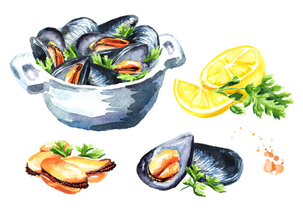 柠檬香草贻贝。水彩手绘插图孤立的白色背景素材图片