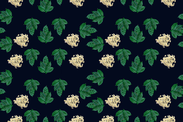 无缝绿叶图案上黑色背景顶视图平铺点缀图片下载