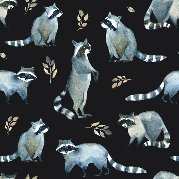 水彩画的灰色野生浣熊和叶子在黑暗的背景。逼真的森林动物素描。许多浣熊的谢默斯模式图片下载