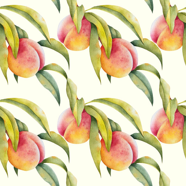 白色背景的桃树枝。图片下载