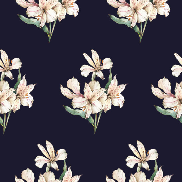 Alstoemeria鲜花的背景。图片下载