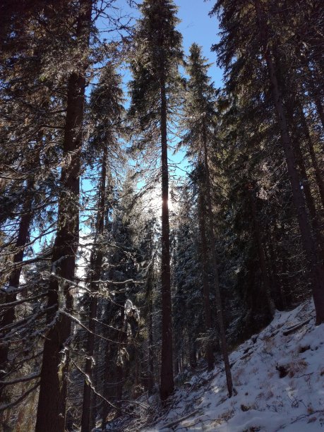 冬季的一天图片下载