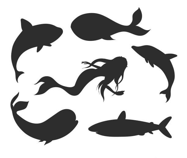 一套矢量水下生活剪影美人鱼，鲸鱼，鲨鱼，独角鲸和海豚。海洋生物的形状孤立在白色的背景。图片下载