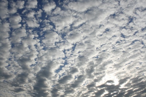 云恩德皮奇图片下载