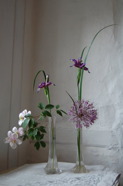 两束鸢尾，铁线莲和球茎植物的花。图片下载