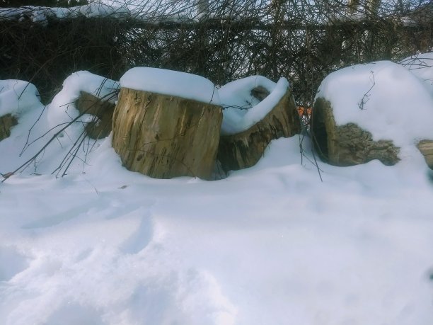 的日志图片下载