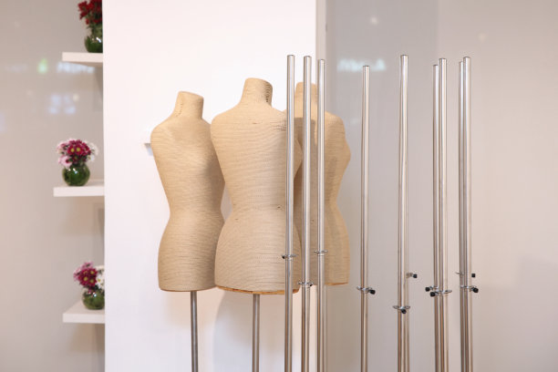 几个人体模型的躯干特写图片下载