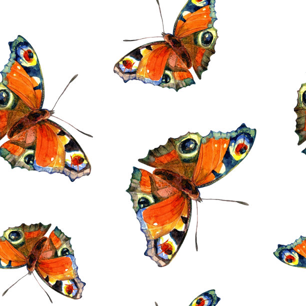 无缝图案的蝴蝶画在水彩。图片下载