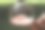 手里拿着泡泡的孩子图片下载