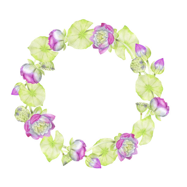 手绘水彩花环由荷花的花和叶组成图片下载