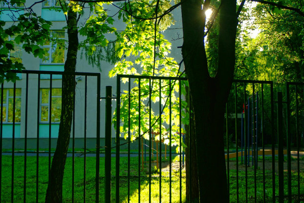 春天，学校附近有铁栅栏图片下载