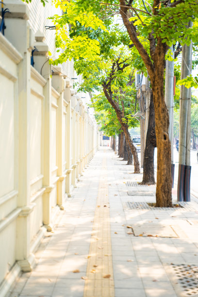 镇上的砖砌小路图片下载