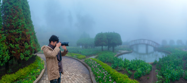 摄影师拍摄的雾花园照片图片下载