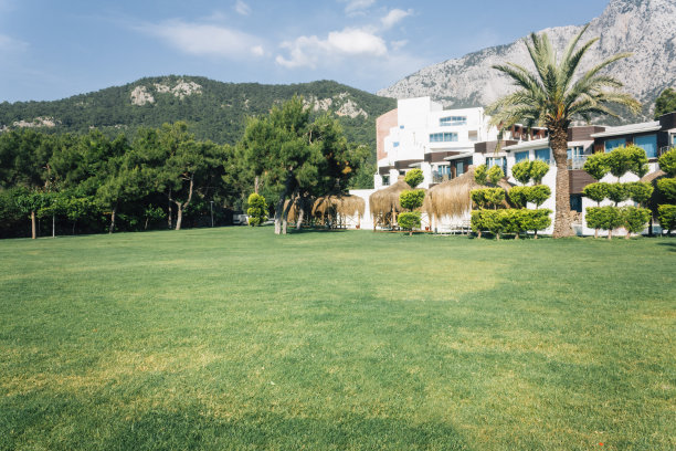 森林中的现代房屋图片下载