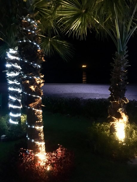 手掌和花环图片下载