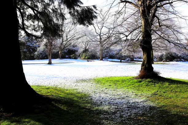 冰雪公园场景图片下载