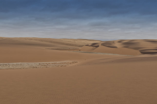 纳米贝沙漠沙丘和植被的照片。非洲。安哥拉图片下载