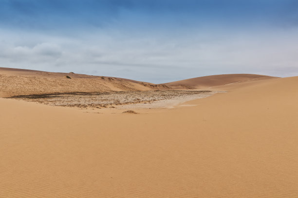 纳米贝沙漠沙丘和植被的照片。非洲。安哥拉图片下载