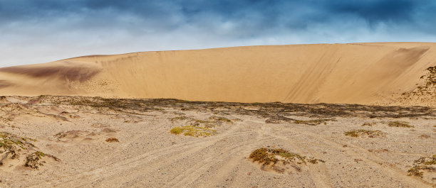 纳米贝沙漠沙丘与干燥植被的全景照片。非洲。安哥拉图片下载