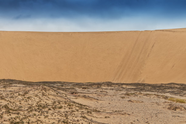 纳米贝沙漠沙丘和植被的照片。非洲。安哥拉图片下载