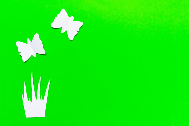 绿色背景上的草丛和白蝴蝶，春天的概念平铺与复制空间图片下载