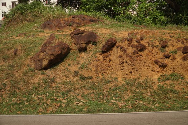 自然剖面土壤地下长满青草图片下载