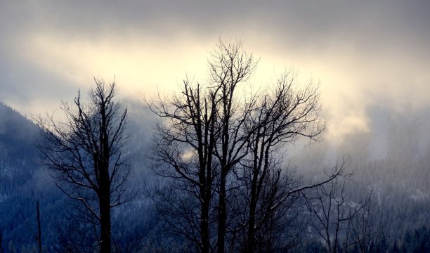 反演照明图片下载