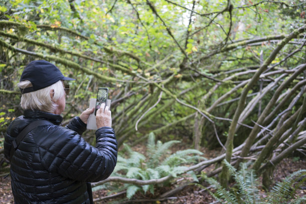 婴儿潮时期出生的人用移动设备拍照图片下载