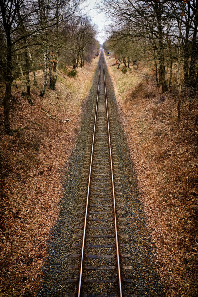 森林里有铁路轨道。图片下载