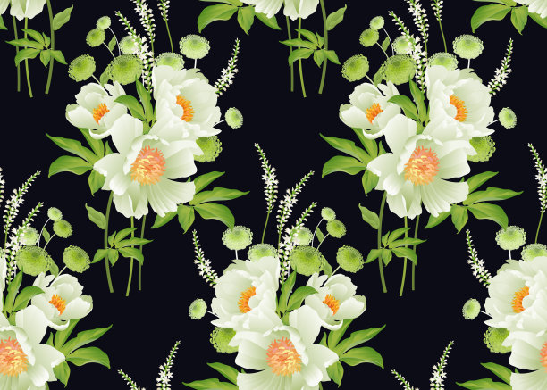 花卉无缝模式。花园花牡丹。图片下载