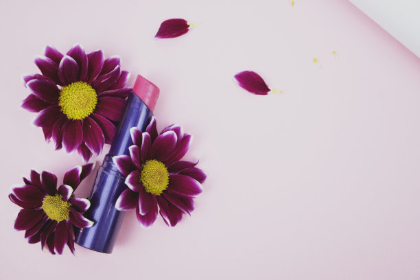 红红的口红在菊花里，飘香。粉色背景-文字空间。美，美，关怀图片下载