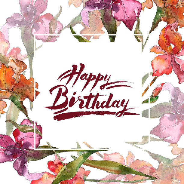 红色和紫色的植物花。水彩背景插图集。边框装饰方形。图片下载