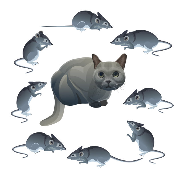 猫和老鼠图片下载