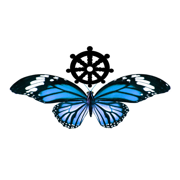 热带蓝蝴蝶。在白色背景上隔离图片下载