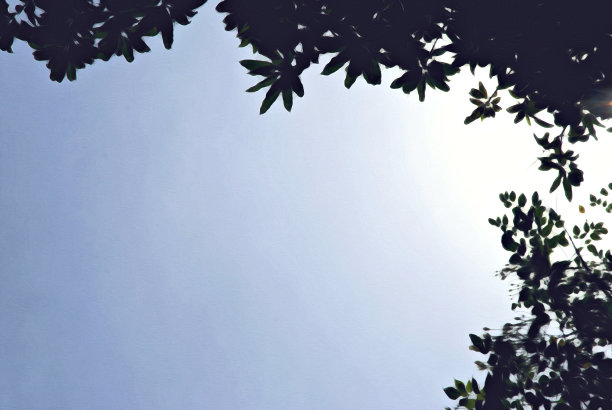 抽象树枝树水彩插画背景画。图片下载