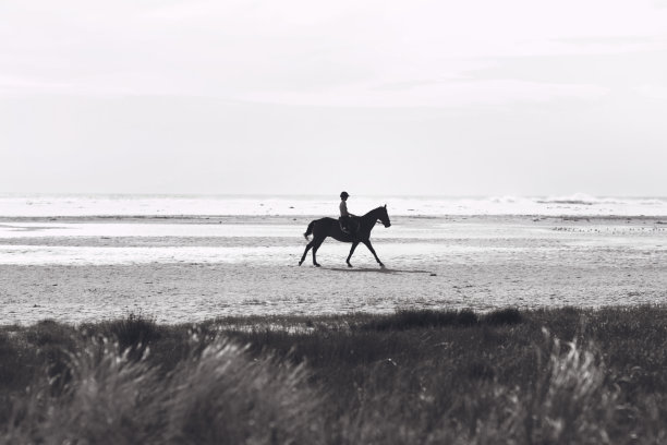 在海滩上骑马图片下载
