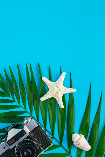 旅行平铺概念与棕榈叶图片下载